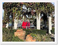 Immagine WhatsApp 2023-11-05 ore 11.53.58_42cd5c66 * 2048 x 1536 * (963KB)